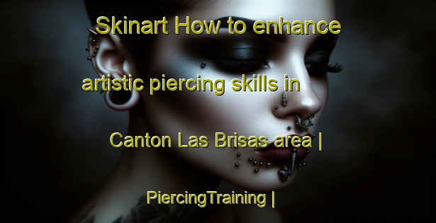 Skinart How to enhance artistic piercing skills in Canton Las Brisas area | PiercingTraining | PiercingClasses | SkinartTraining-Mexico